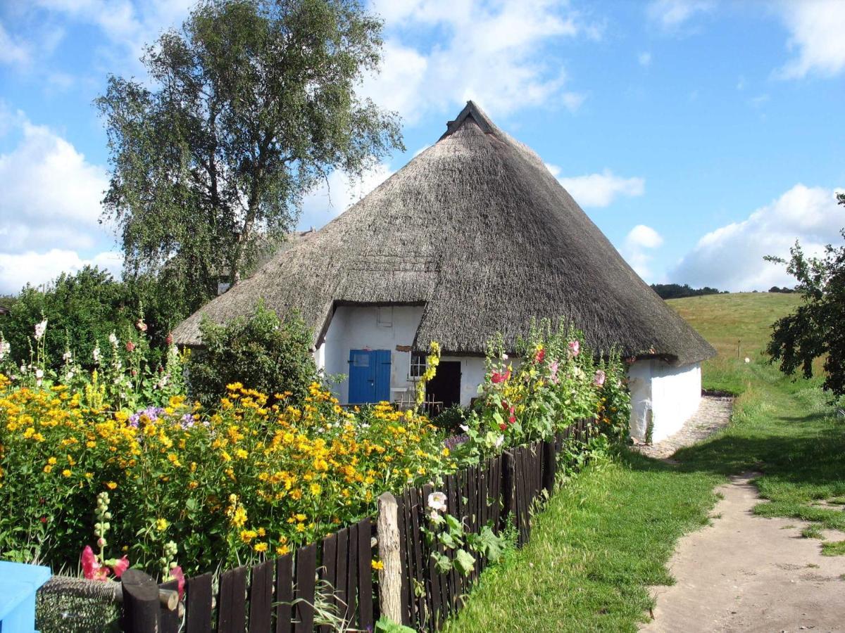 Ferienhaus Zum Boddenstrand Mit Ka Groß Zicker Dış mekan fotoğraf